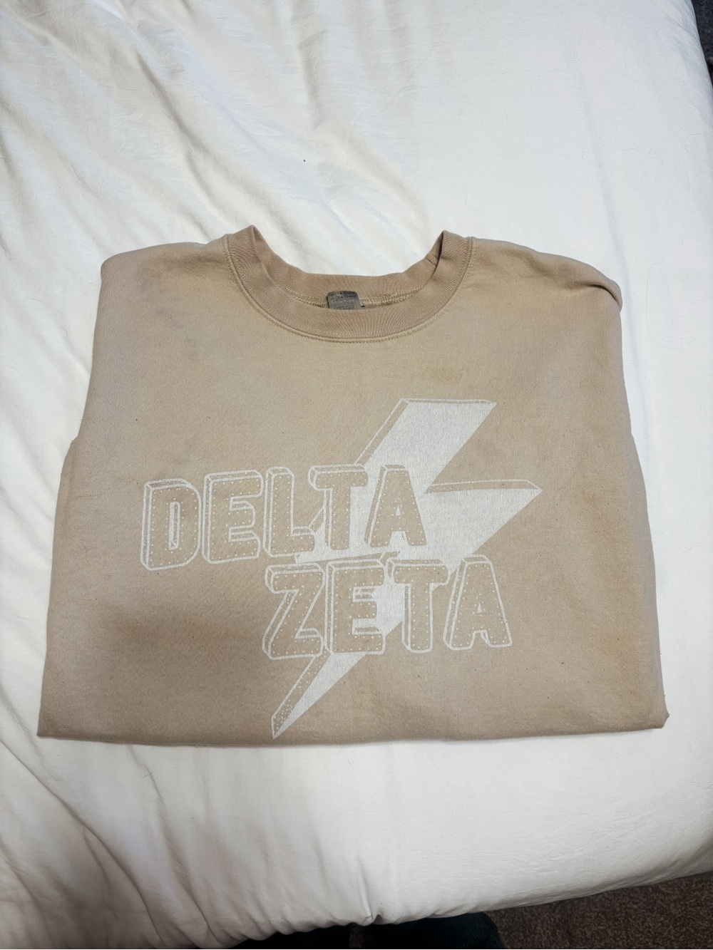Delta Zeta Beige Crewneck